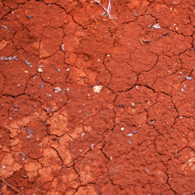 Are you with care for the environment?