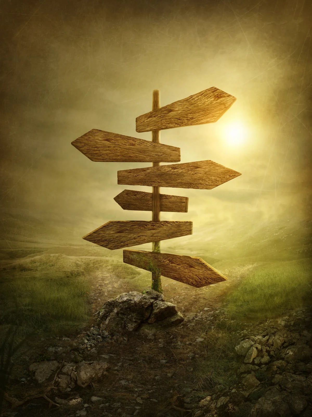 The Land Before The Arrow of Time